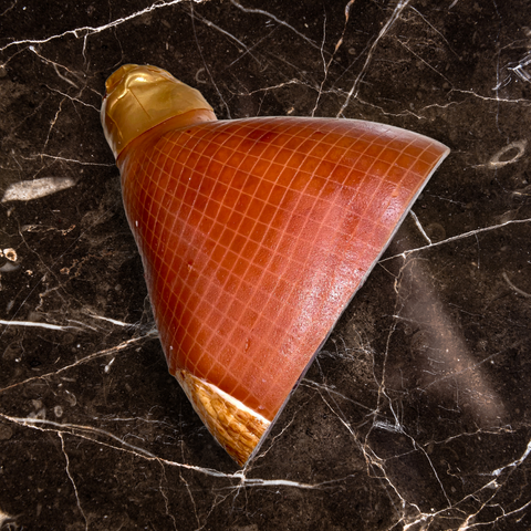CHRISTMAS PICKUP Double Smoked Bone-In Ham